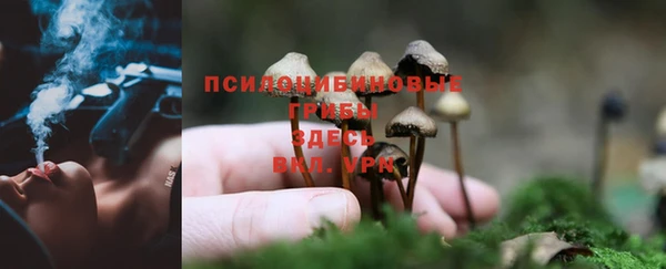 мяу мяу мука Алексин